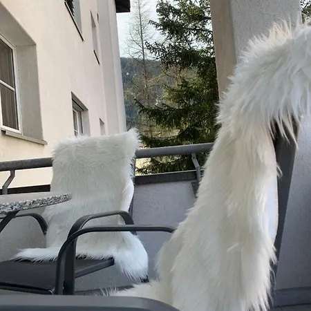 Gian - Close To The Kongresshaus, The Ice Hockey Stadium, Cross-country Skiing, The Eau-la-la Indoor Pool And Wellness, Large Supermarket, 2 Bus Stops, With An Indoor Garage And Fully Equipped Apartment