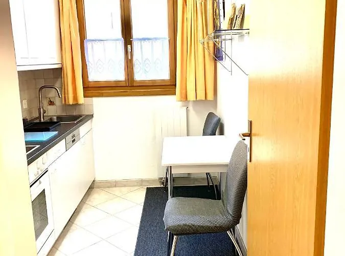 Gian - Close To The Kongresshaus, The Ice Hockey Stadium, Cross-country Skiing, The Eau-la-la Indoor Pool And Wellness, Large Supermarket, 2 Bus Stops, With An Indoor Garage And Fully Equipped Appartement