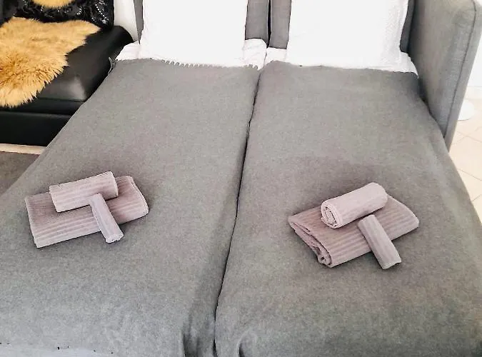 Gian - Close To The Kongresshaus, The Ice Hockey Stadium, Cross-country Skiing, The Eau-la-la Indoor Pool And Wellness, Large Supermarket, 2 Bus Stops, With An Indoor Garage And Fully Equipped Appartement Davos