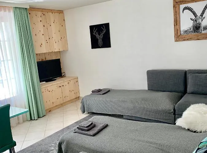 Gian - Close To The Kongresshaus, The Ice Hockey Stadium, Cross-country Skiing, The Eau-la-la Indoor Pool And Wellness, Large Supermarket, 2 Bus Stops, With An Indoor Garage And Fully Equipped