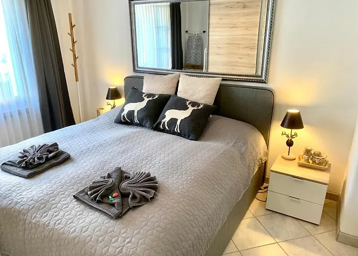 Gian - Close To The Kongresshaus, The Ice Hockey Stadium, Cross-country Skiing, The Eau-la-la Indoor Pool And Wellness, Large Supermarket, 2 Bus Stops, With An Indoor Garage And Fully Equipped *