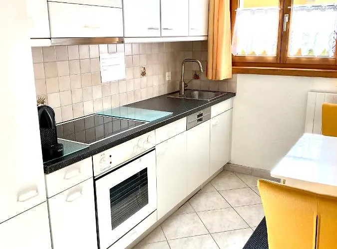 Gian - Close To The Kongresshaus, The Ice Hockey Stadium, Cross-country Skiing, The Eau-la-la Indoor Pool And Wellness, Large Supermarket, 2 Bus Stops, With An Indoor Garage And Fully Equipped Ostrava