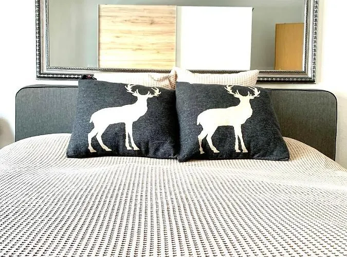 Daire Gian - Close To The Kongresshaus, The Ice Hockey Stadium, Cross-country Skiing, The Eau-la-la Indoor Pool And Wellness, Large Supermarket, 2 Bus Stops, With An Indoor Garage And Fully Equipped