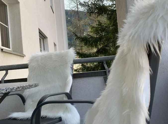 Gian - Close To The Kongresshaus, The Ice Hockey Stadium, Cross-country Skiing, The Eau-la-la Indoor Pool And Wellness, Large Supermarket, 2 Bus Stops, With An Indoor Garage And Fully Equipped Daire